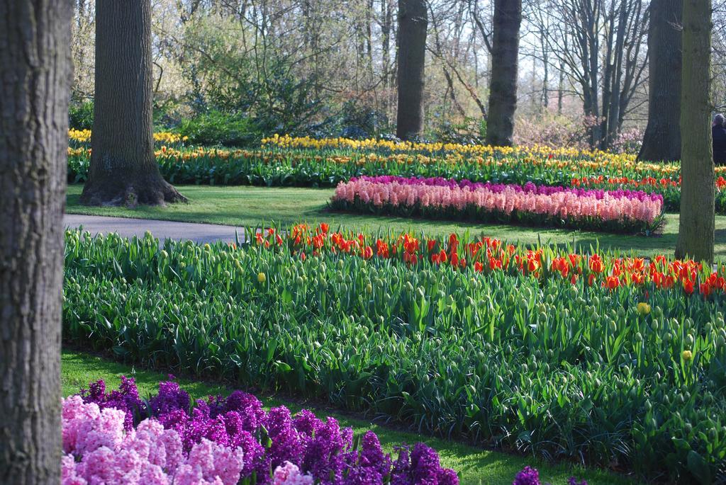 Vakantiepark Delftse Hout Екстер'єр фото