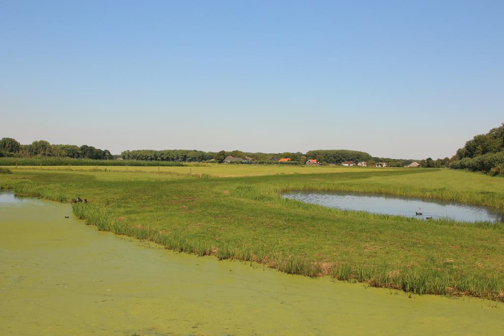 Vakantiepark Delftse Hout Екстер'єр фото